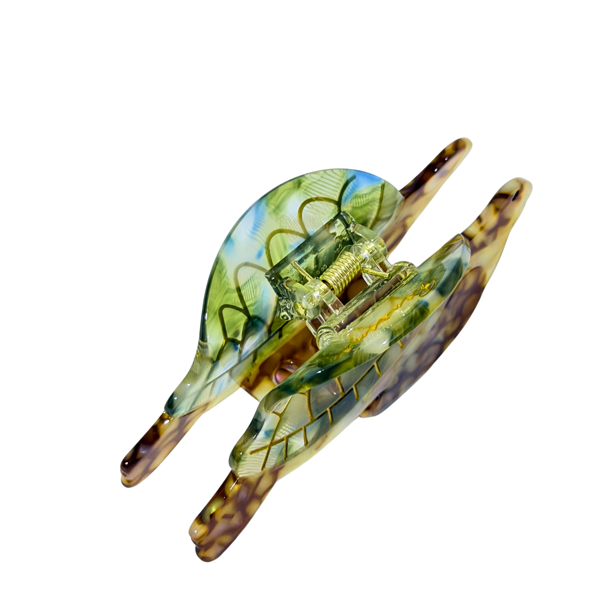Berna (tortuga)