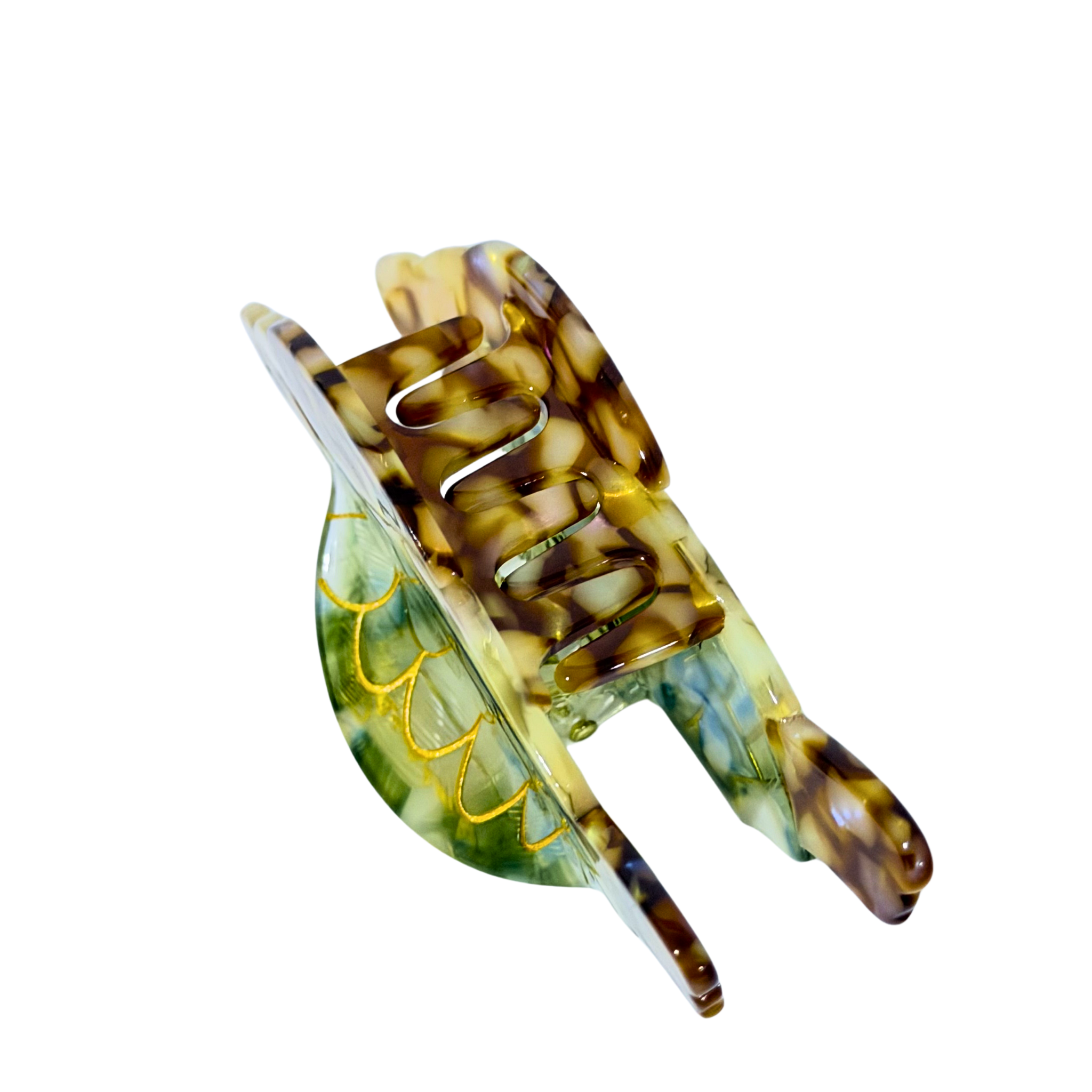 Berna (tortuga)