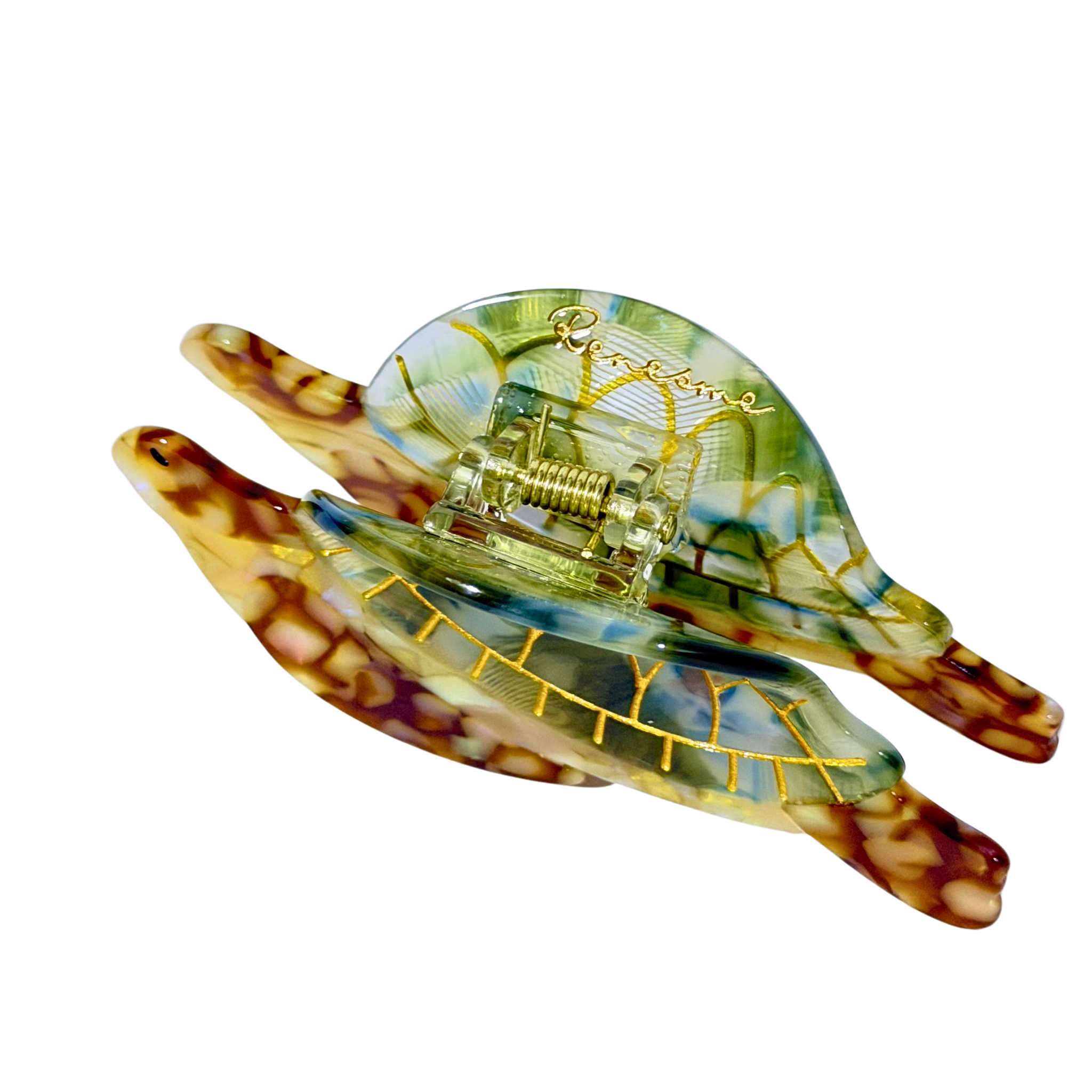 Berna (tortuga)