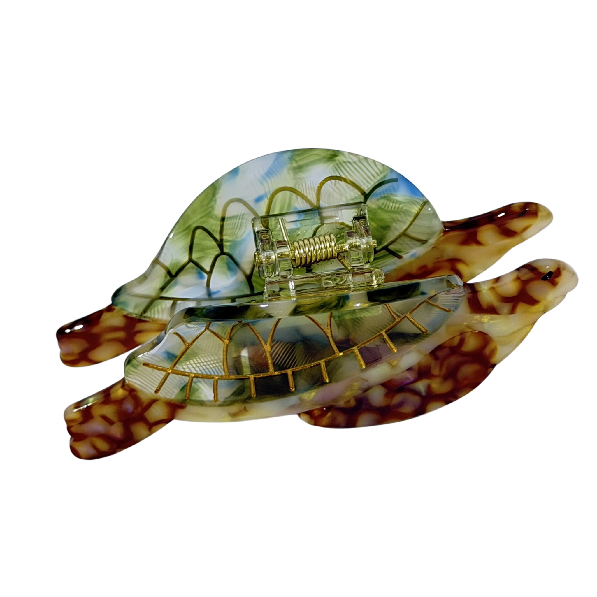 Berna (tortuga)