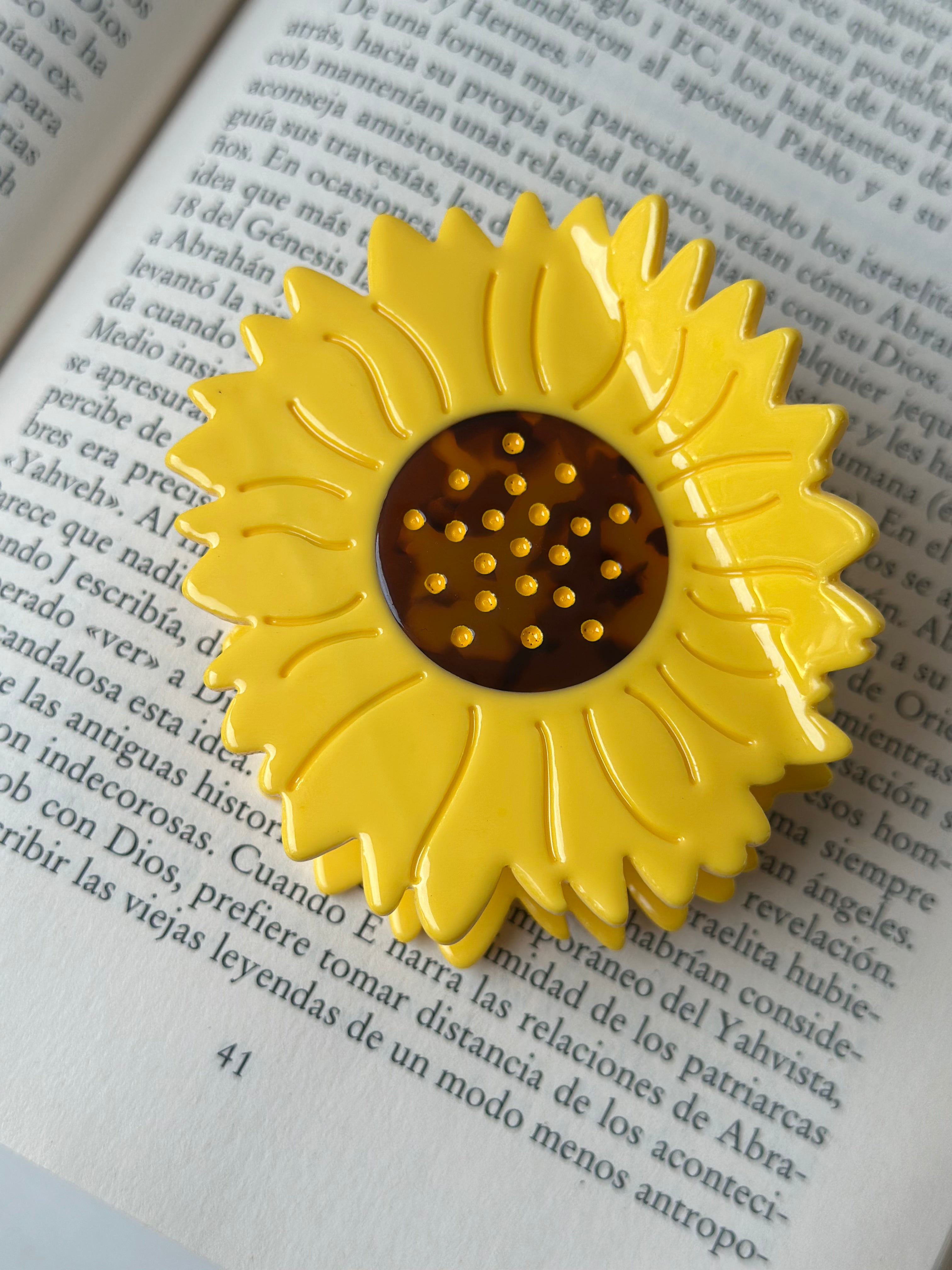 Hairclip #41