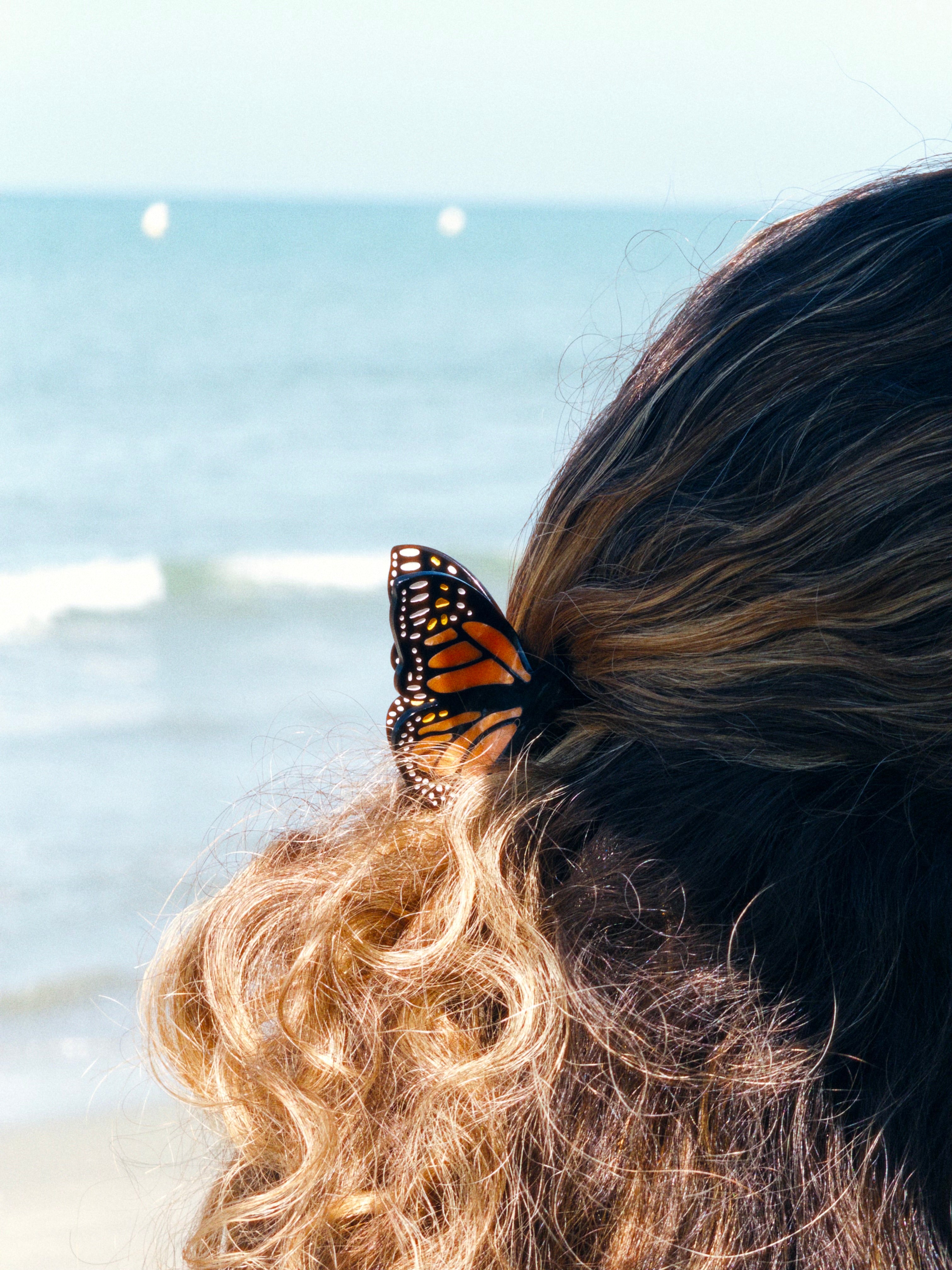 Aloha (mariposa monarca)