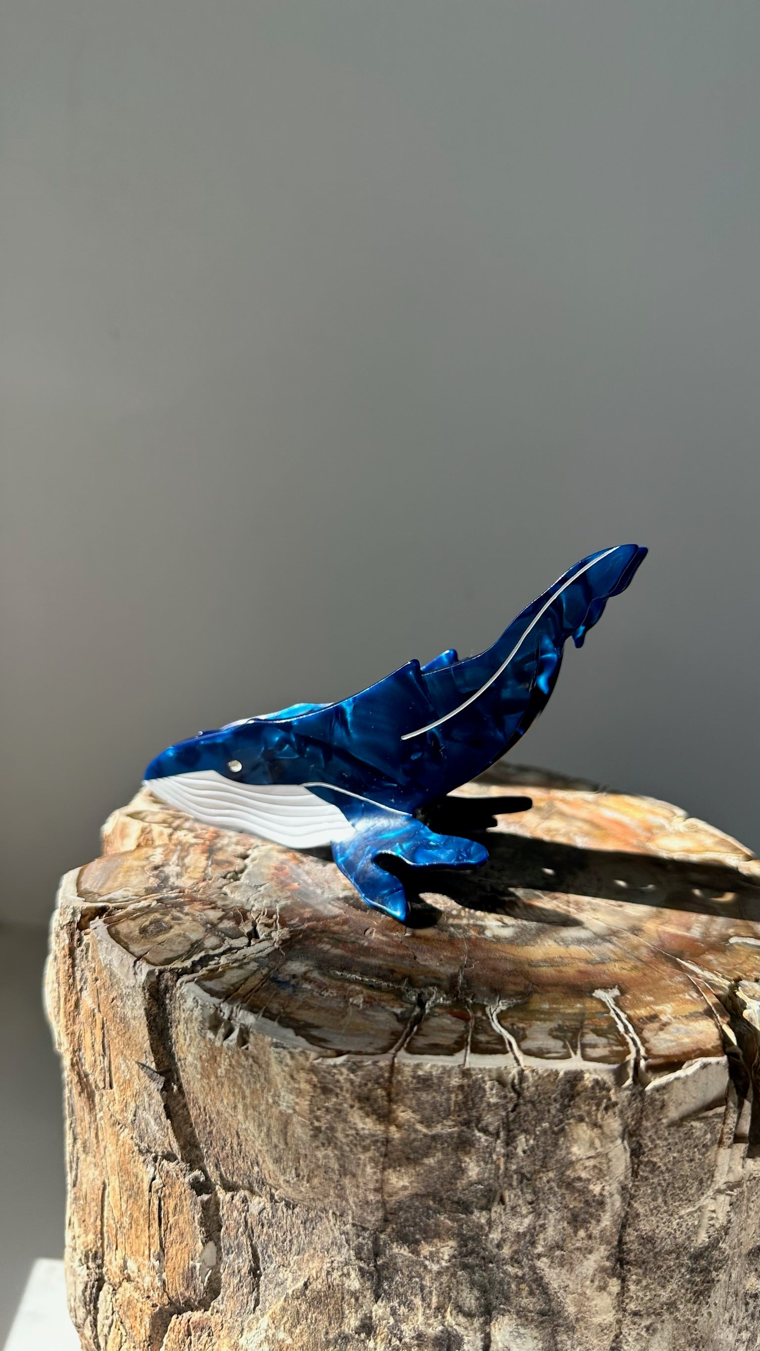 Nuqui