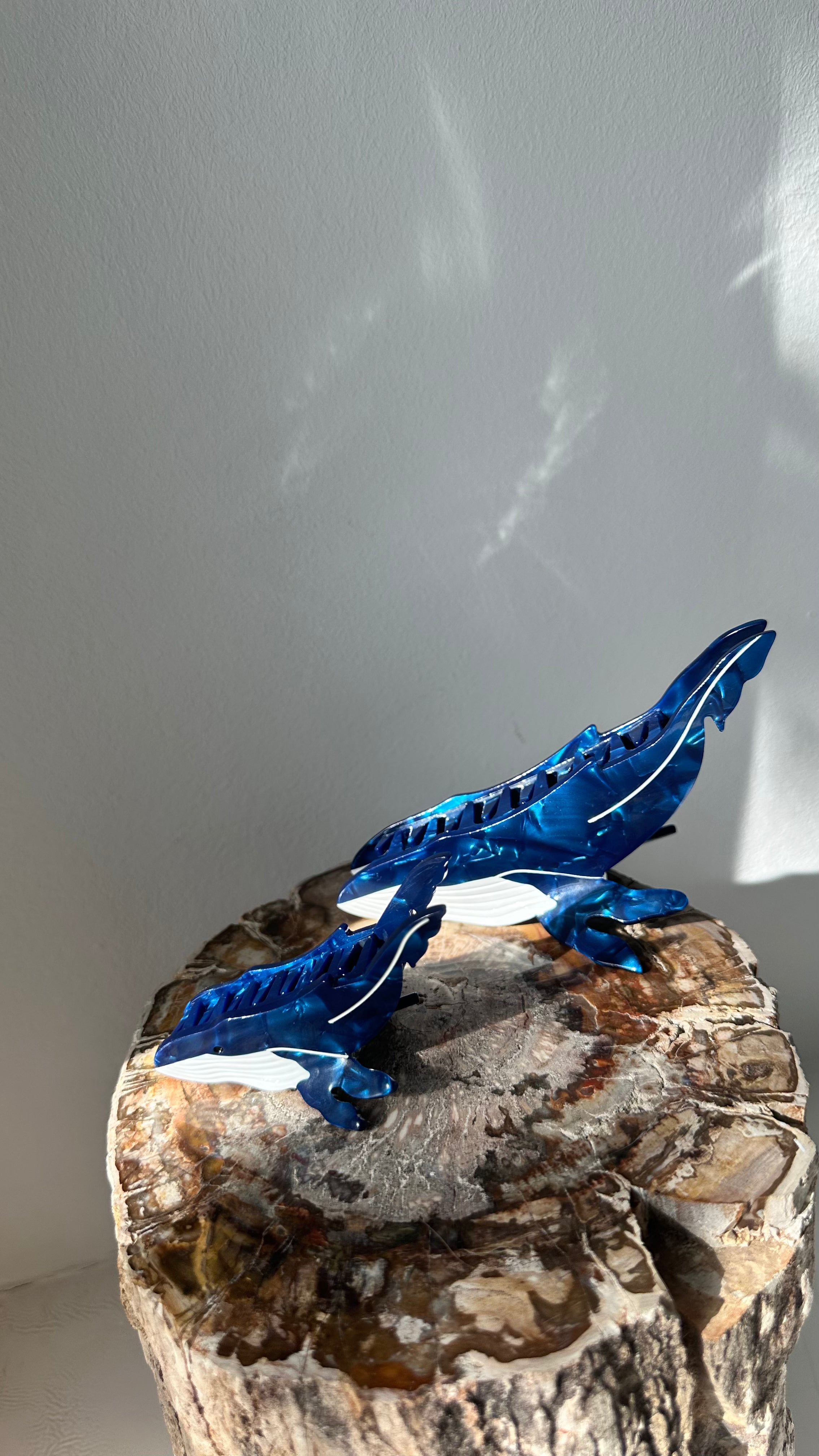 Nuqui