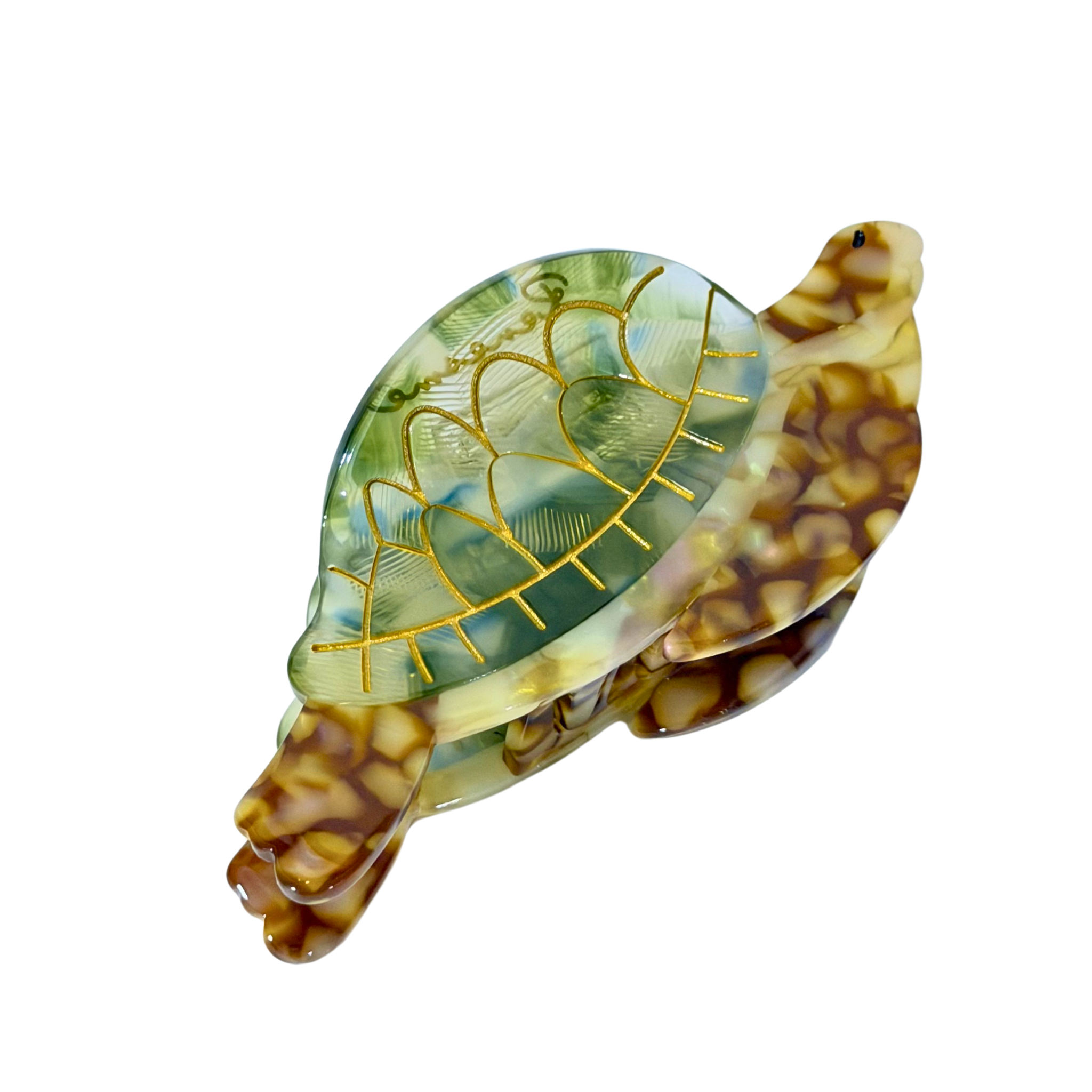 Berna (tortuga)