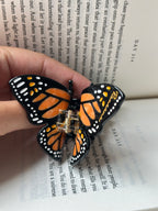 Aloha (mariposa monarca)