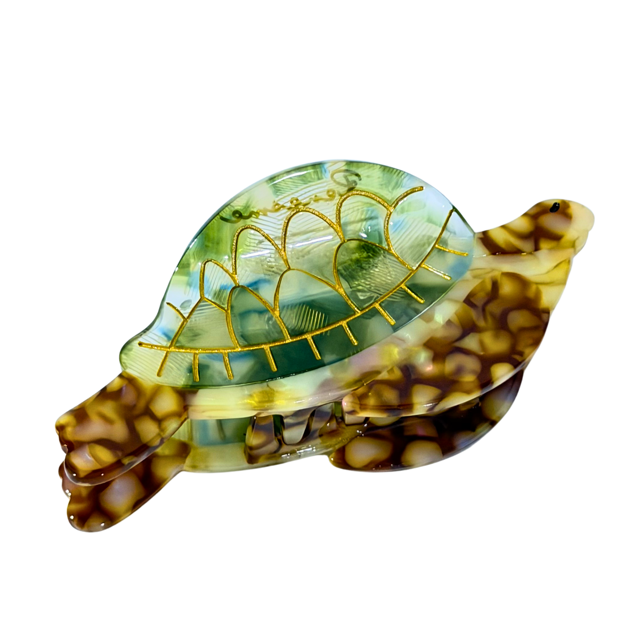 Berna (tortuga)