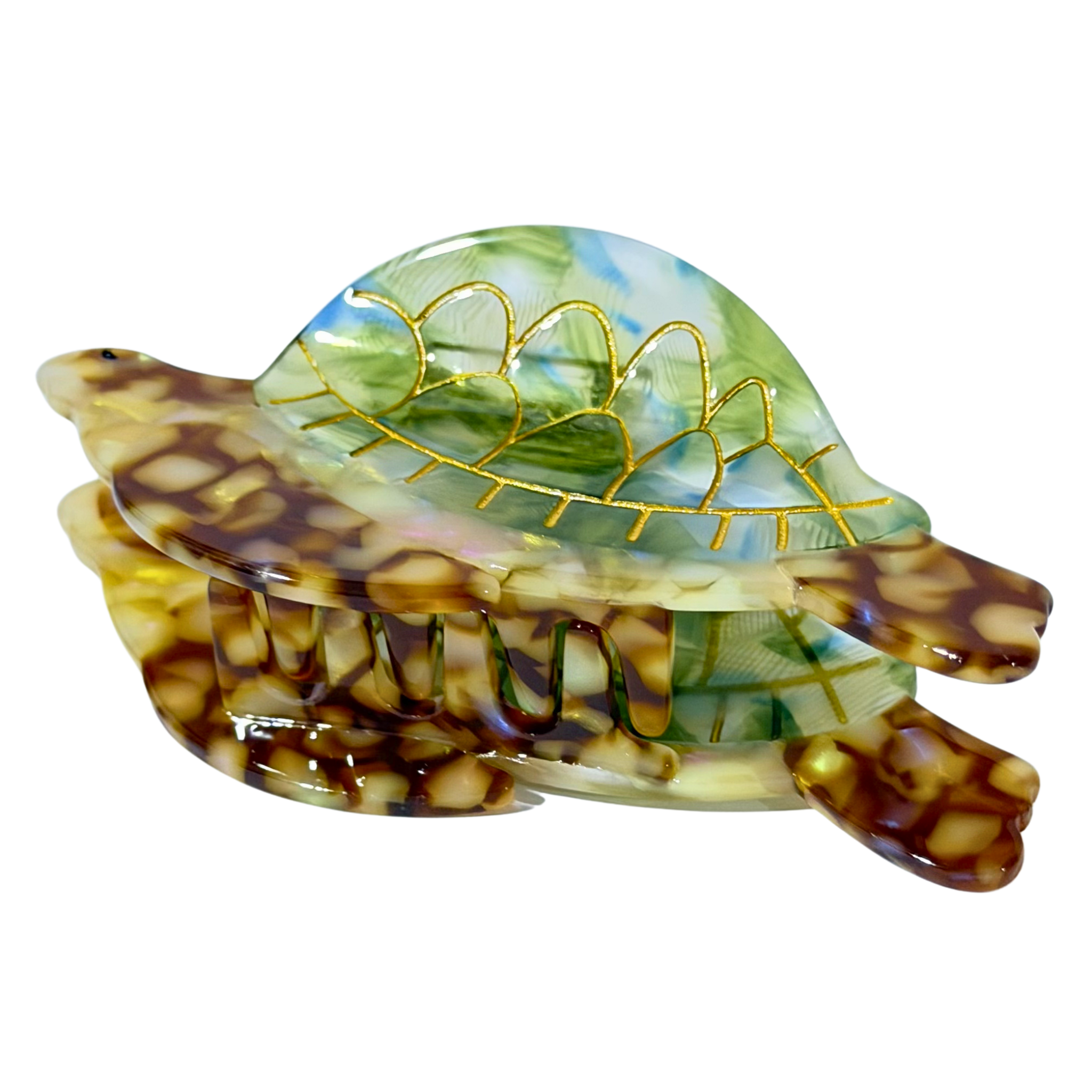 Berna (tortuga)