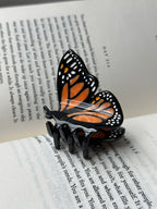 Aloha (mariposa monarca)