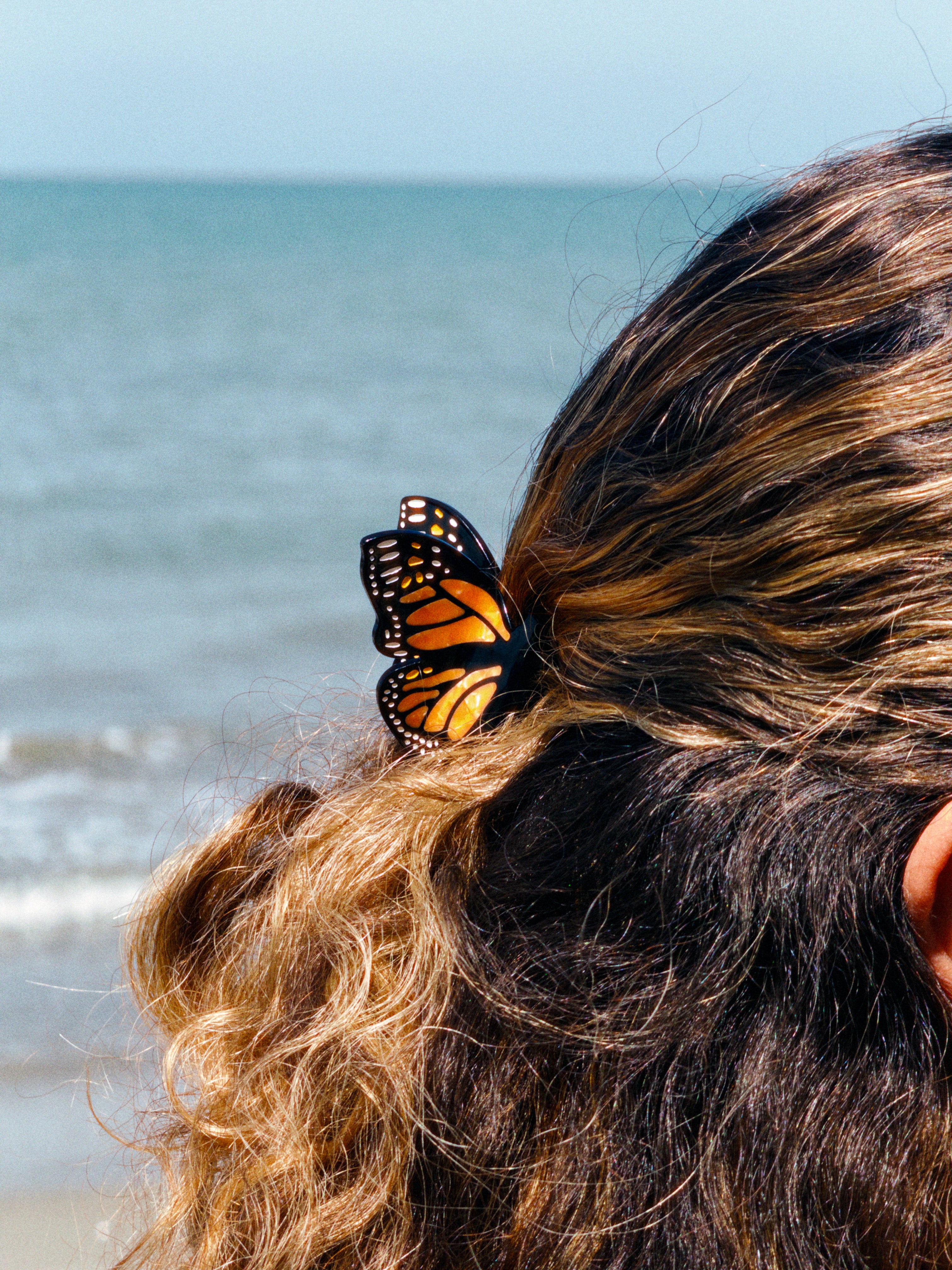 Aloha (mariposa monarca)