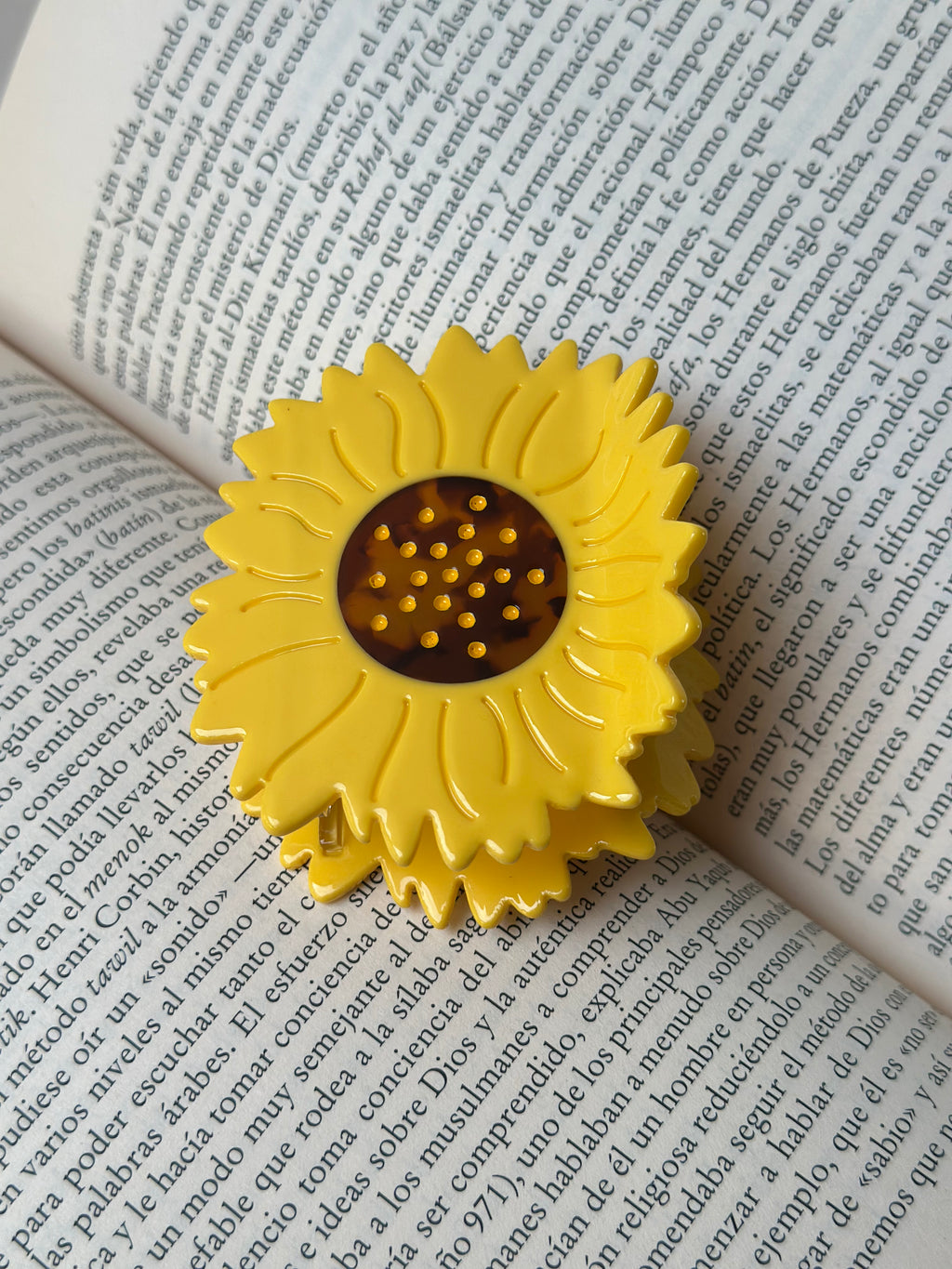 Hairclip #41
