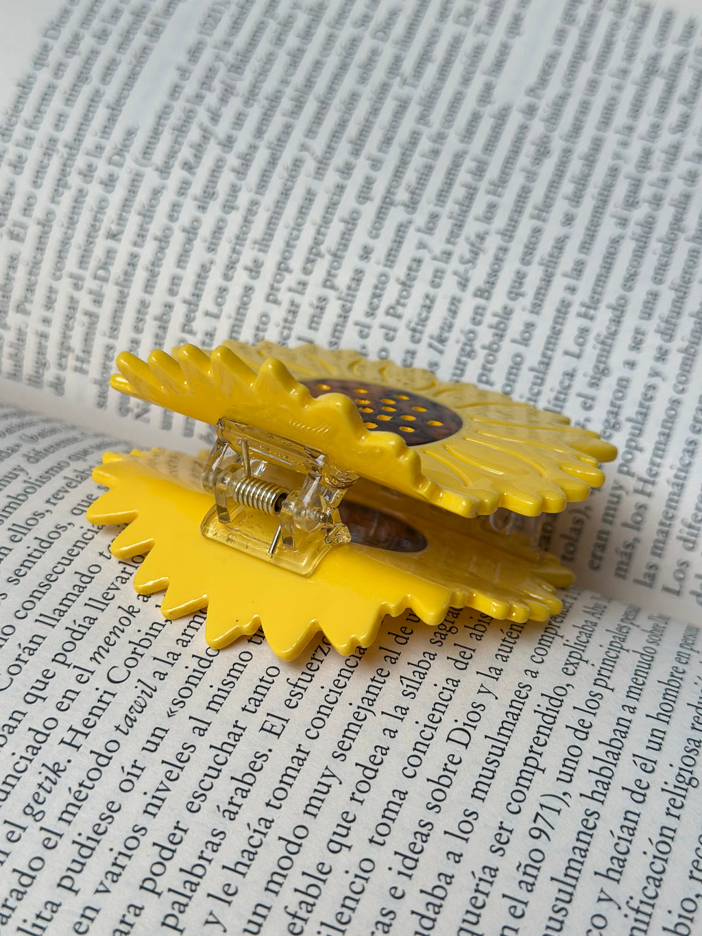 Hairclip #41