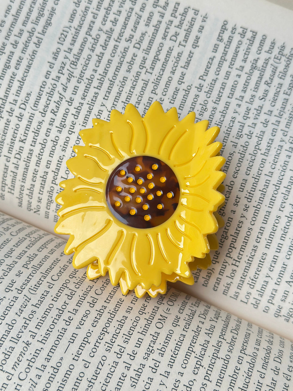 Hairclip #41