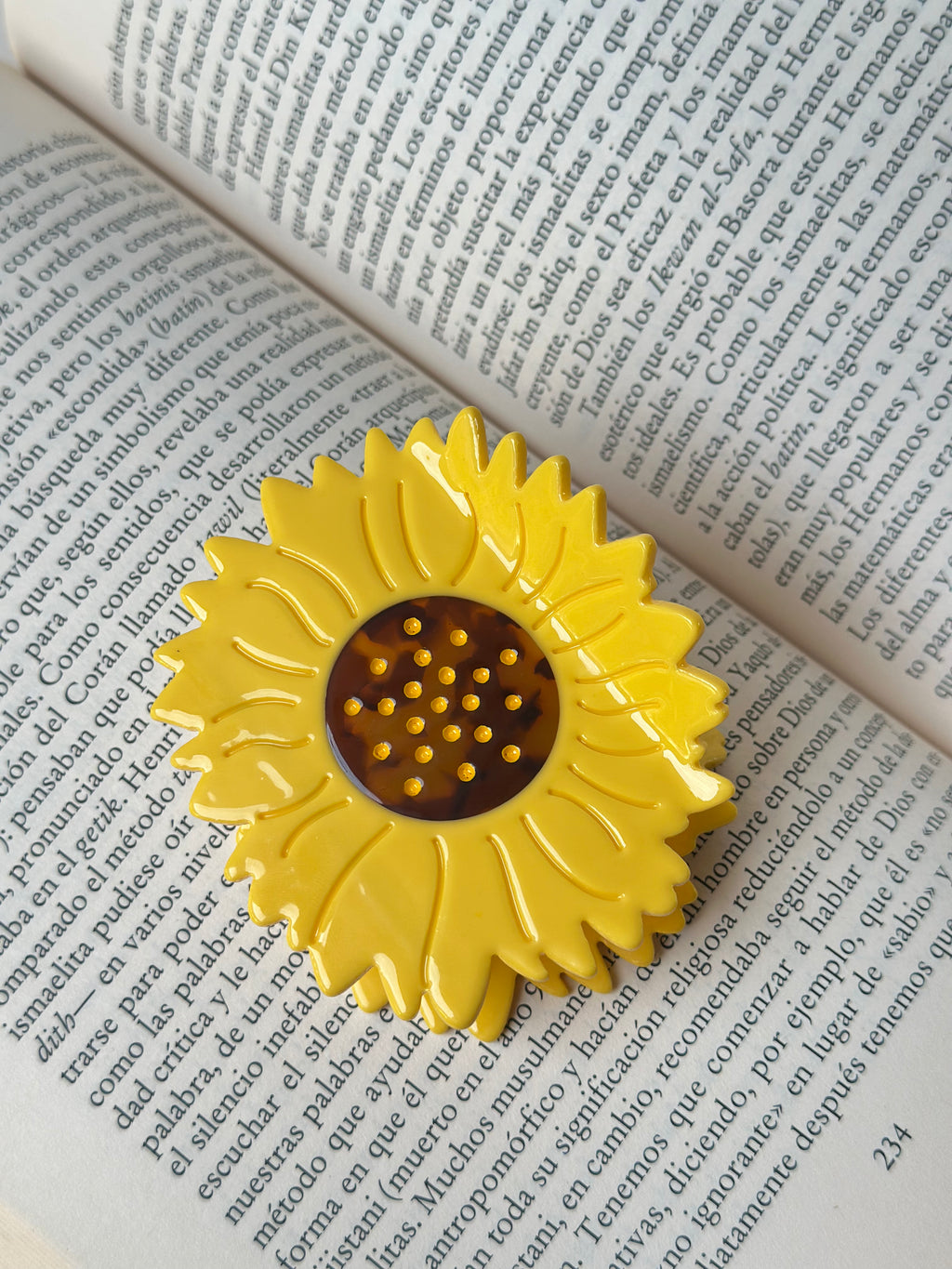 Hairclip #41