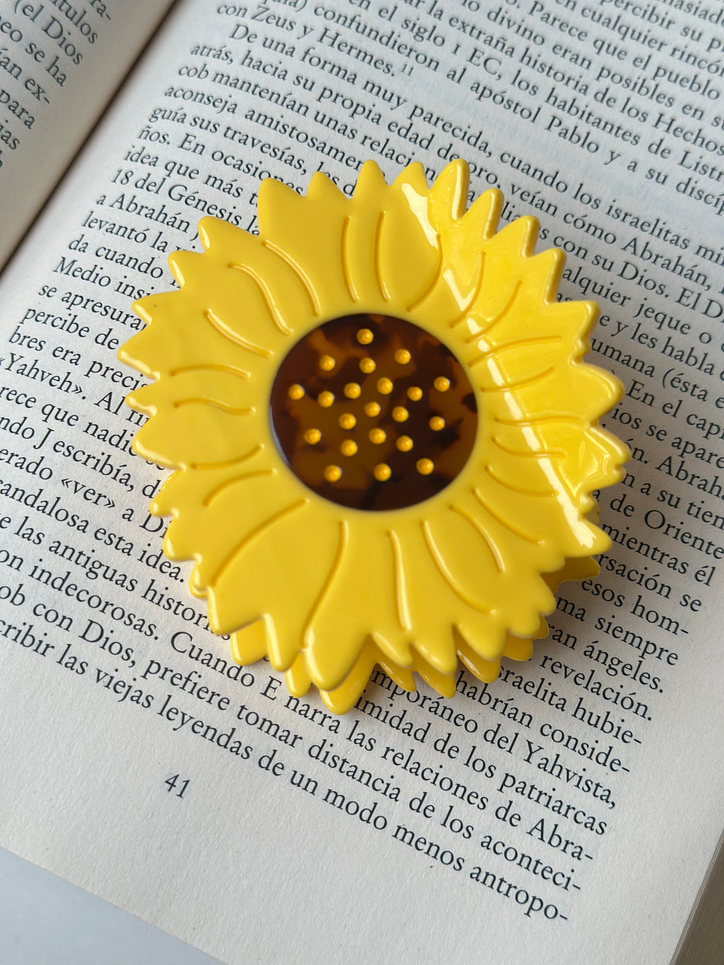 Hairclip #41