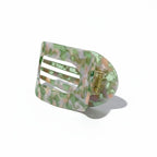 Vicente Fernández (verde)